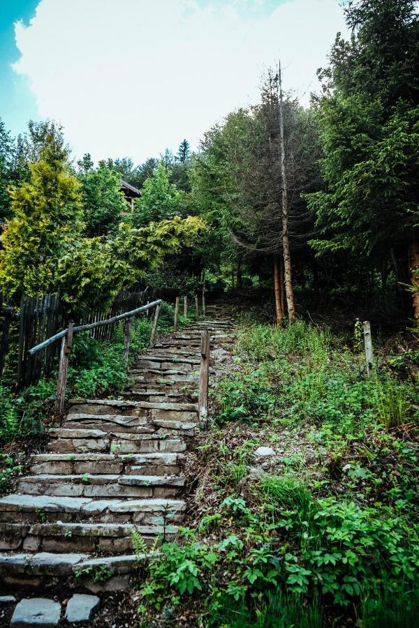 Chill On Hill - Szczyrk Villa Екстериор снимка